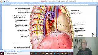 Respiratory Module 21  Azygos veins by Dr Wahdan [upl. by Velasco]