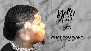 Yella Beezy  What You Wantquot feat Tokyo Jetz Official Audio [upl. by Eibo343]