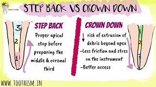 ENDODONTICS  STEP BACK VS CROWN DOWN TECHNIQUE  Biomechanical preparation [upl. by Aretha]