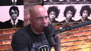 Joe Rogan Learns About Inbreeding [upl. by Oidiple682]