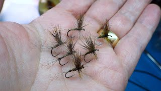 Tying a Rough Olive Dry Fly by Davie McPhail [upl. by Barayon329]