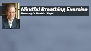 Mindful Breathing with Dr Daniel J Siegel [upl. by Maloney]