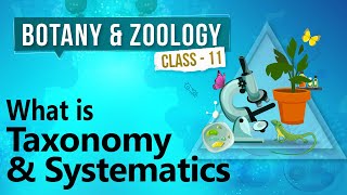 What is Taxonomy and Systematics  Diversity in Organisms  Biology Class 11 [upl. by Thetos]