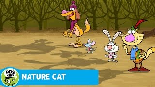 NATURE CAT  The Winter Solstice  PBS KIDS [upl. by Naud171]