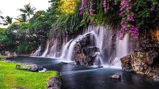 Relaxing Zen Music with Water Sounds • Peaceful Ambience for Spa Yoga and Relaxation [upl. by Lledrac737]