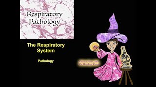 The Respiratory System Pathology [upl. by Ihsoyim]