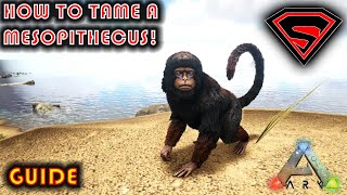 ARK HOW TO TAME A MESOPITHECUS  EVERYTHING YOU NEED TO KNOW ABOUT TAMING A MESOPITHECUS [upl. by Hamehseer]