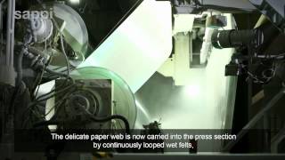 The Paper Making Process [upl. by Fleeman]