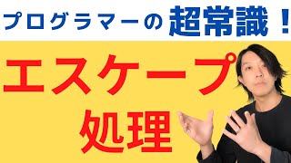 エスケープとは？【分かりやすい解説シリーズ 47】【プログラミング】 [upl. by Ydnem]