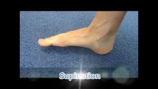 Ankle pronation and supination [upl. by Gilmour]