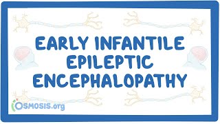 Dee Educational Videos on Developmental and Epileptic Encephalopathy DEE [upl. by Enwahs577]