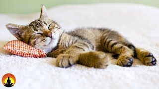 8 Hour Super Sleep Music Relaxing Music Meditation Music Sleeping Music Relaxation Music ☯2479 [upl. by Strickland]