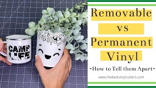 Removable vs Permanent Adhesive Vinyl  How to Tell them Apart [upl. by Osmond]