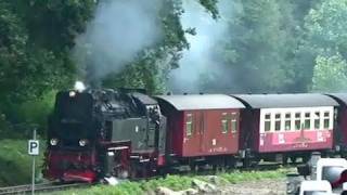 Eisenbahn Highlights 2010  33  Railway  Dampflok  Zug [upl. by Eirek750]