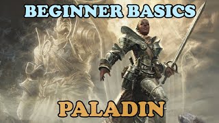 DDO Beginner Basics The Paladin Class [upl. by Ciri]