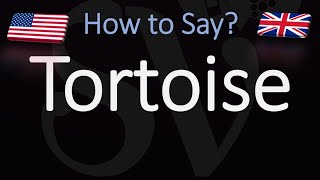 How to Pronounce Tortoise CORRECTLY [upl. by Braca596]