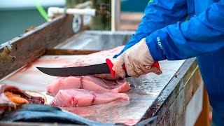 How To Sharpen A Fillet Knife [upl. by Alejandro]