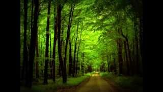 Aron Wright  In the Woods «Кухня» OST [upl. by Semyaj]