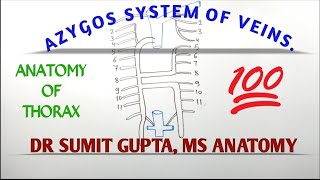 AZYGOS SYSTEM OF VEIN [upl. by Yllrebmik]