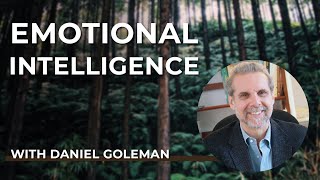 Daniel Goleman PhD Emotional Intelligence Now [upl. by Buck320]