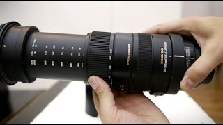 Sigma 50500mm f4563 OS HSM lens review with samples APSC and fullframe [upl. by Breen450]