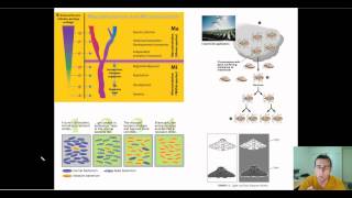 Microevolution [upl. by Avraham]