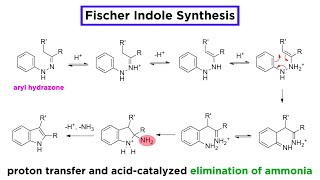 Fischer Indole Synthesis [upl. by Aelgna]