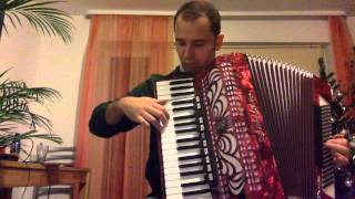 Waves of the Danube  Accordion [upl. by Nosecyrb]