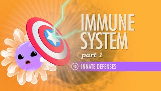 Immune tolerance  An introduction FLImmuno76 [upl. by Norven]