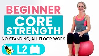 BEGINNER CORE  15 Minute STABILITY BALL Workout for BEGINNERS [upl. by Inalel]