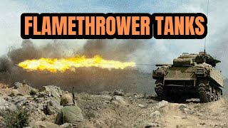 WWII Flame Thrower Tanks [upl. by Einattirb]