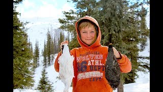 Ptarmigan vs Grouse How to Tell the Difference [upl. by Ennayt95]