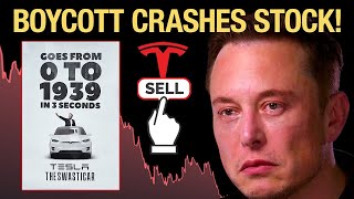 Worldwide Elon Musk Backlash CRASHING Tesla Stock [upl. by Htide]