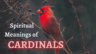 🐦🐦Seeing CARDINALS Around You Learn About the Spiritual Meanings and Symbolisms of CARDINALS [upl. by Fancie]