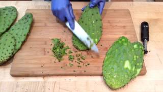 How to Prepare Nopales Cactus Pads  Sunset [upl. by Stelu]