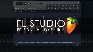 EDISON  Audio Editing Introduction [upl. by Adnuhs]