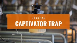 Starbar Captivator Fly Trap [upl. by Iow469]