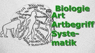 Art  Artbegriff  Systematik [upl. by Belldame]