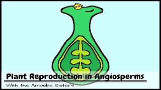 Plant Reproduction in Angiosperms [upl. by Platt]