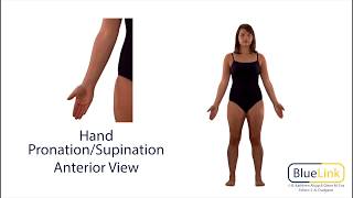 Hand Pronation Supination [upl. by Nogras]