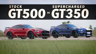 GT500 Mustang vs Supercharged GT350 Mustang  Roll Race Comparison [upl. by Henig]