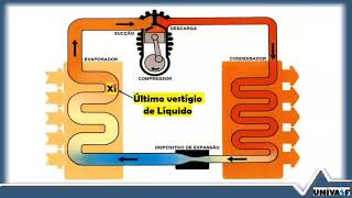 SUPERAQUECIMENTO e SUBRESFRIAMENTO Princípios básicos [upl. by Ahseekan]