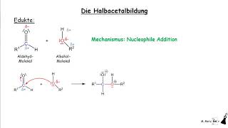 Halbacetalbildung Mechanismus  Nucleophile Addition eines Alkohol Moleküls an ein AldehydMolekül [upl. by Olegnalehcim]