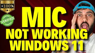 Mic Not Working Windows 11 [upl. by Maria]