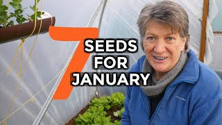 What to sow in JANUARY  7 Easy To Grow Crops [upl. by Mattson]