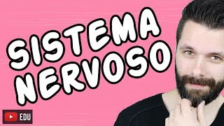 SISTEMA NERVOSO  FISIOLOGIA  Aula  Biologia com Samuel Cunha [upl. by Adnovaj800]