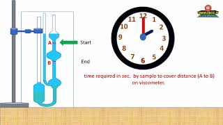 Viscosity determination with animation [upl. by Bein]