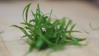 I Finally Figured out how to cut FANCY Green Onions [upl. by Mccowyn]