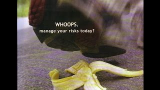 Humour in risk management [upl. by Keiryt]