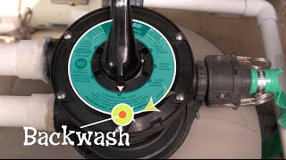 How to backwash your pool [upl. by Bruni]